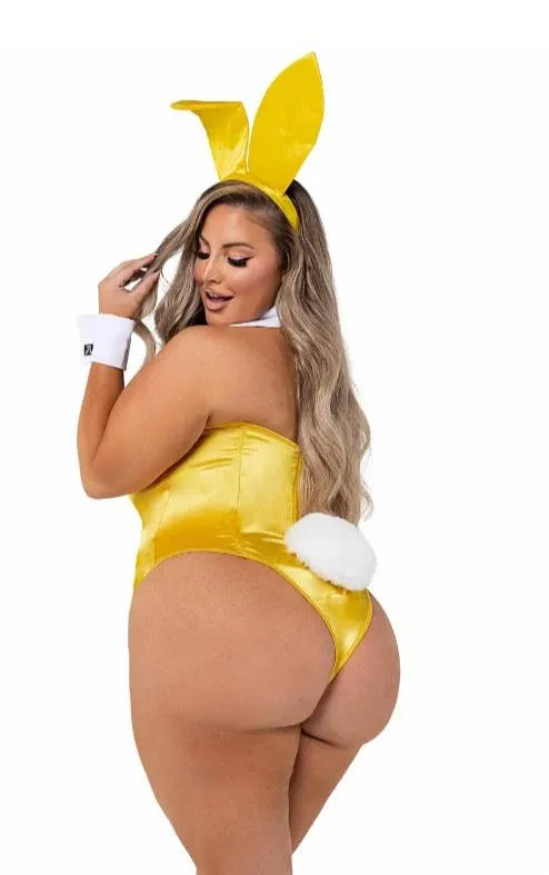 8 Piece Playboy Bunny Costume