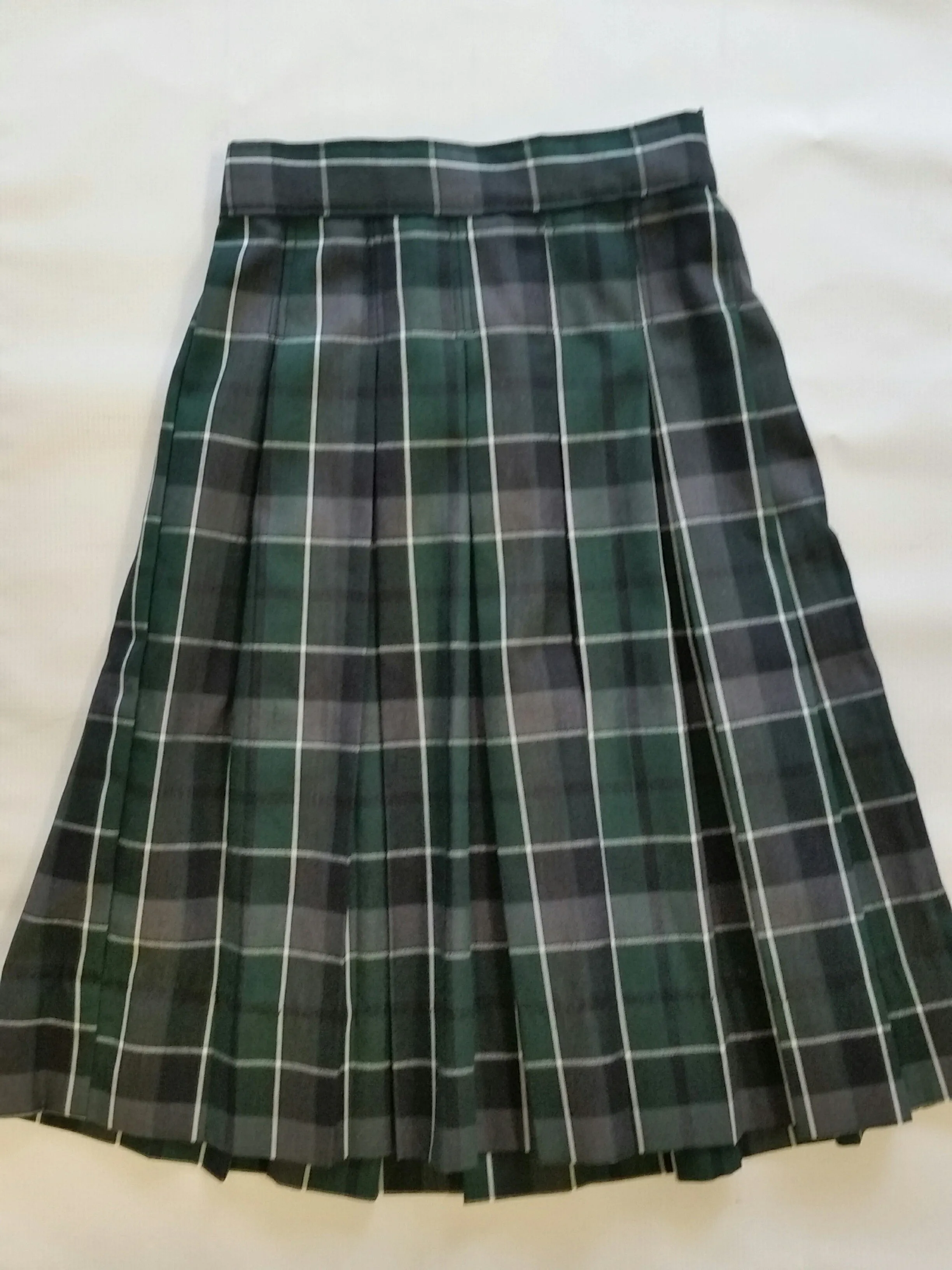 A  Pleated Skirt Plaid 75