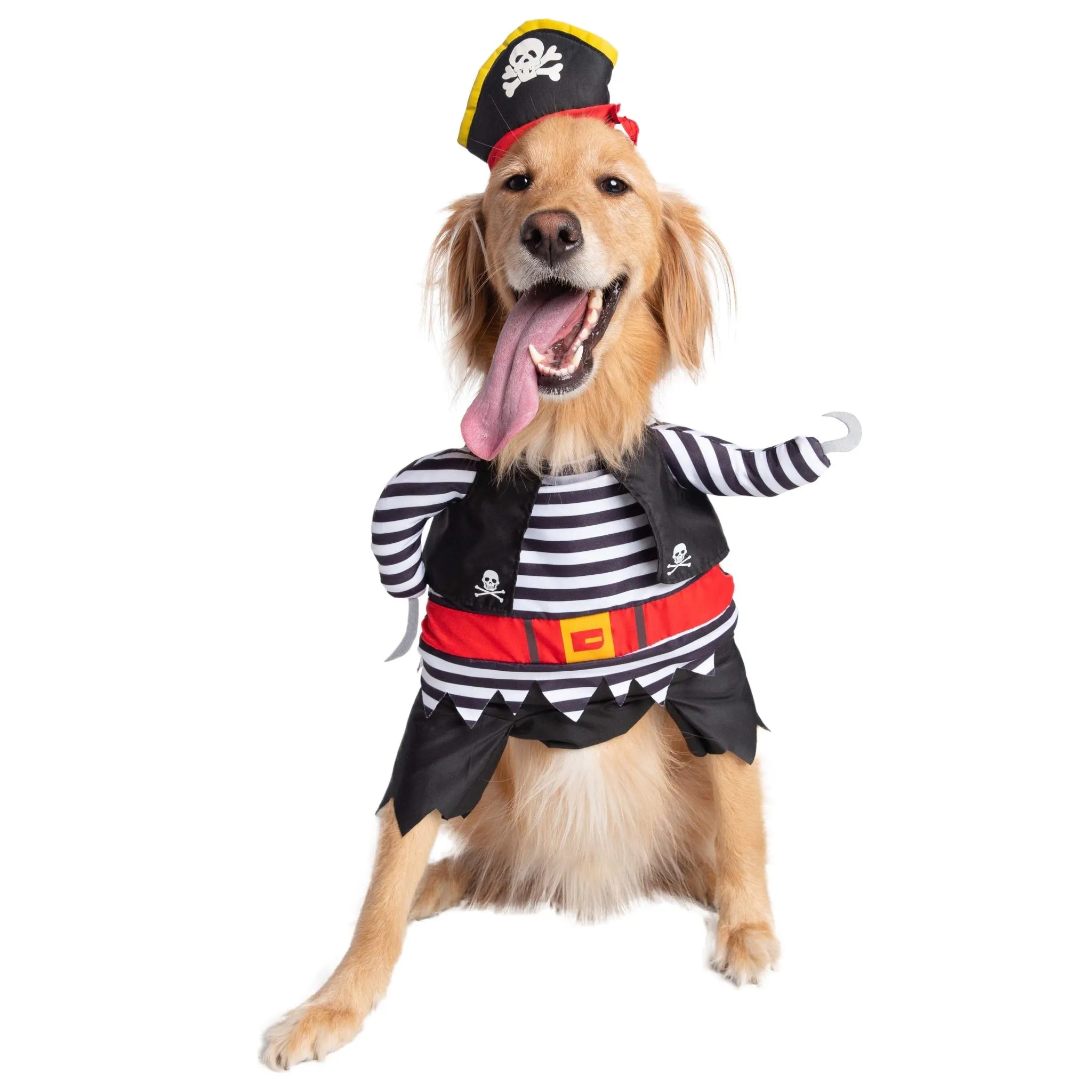 Pirate Dog Costume