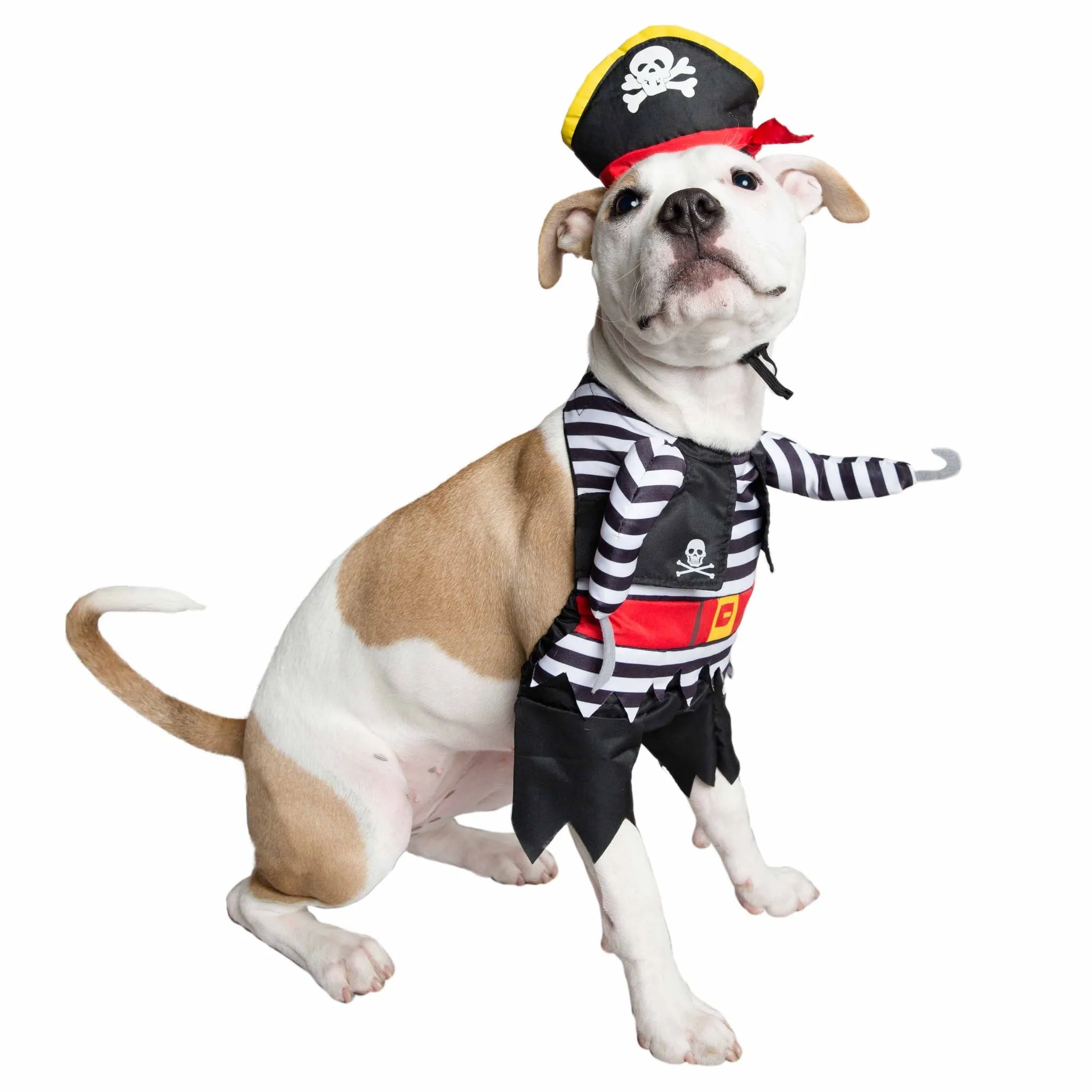 Pirate Dog Costume