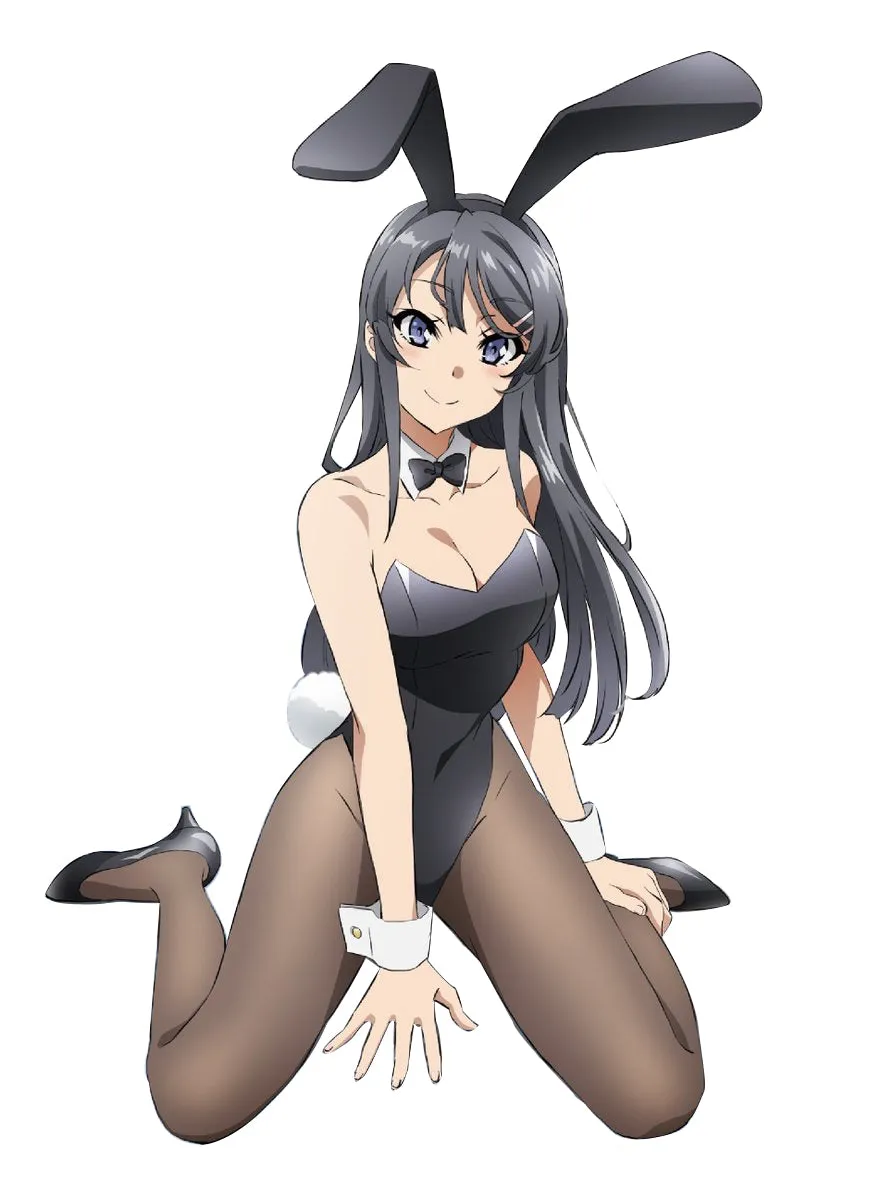 Suited Up Bunny Outfit (Mai Sakurajima)