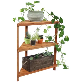 Sunnydaze Meranti Wood Teak Oil Finish 3-Tier Corner Plant Stand